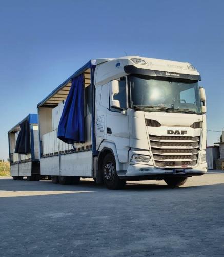 Flotta Logistica Corti